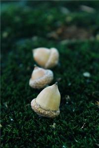 Acorn Journal: 150 Page Lined Notebook/Diary