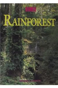 Rainforest