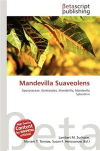 Mandevilla Suaveolens