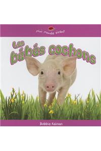 Les Bebes Cochons