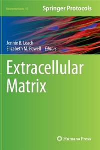 Extracellular Matrix