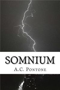 Somnium: Ognuno, Quando Muore, Muore Solo