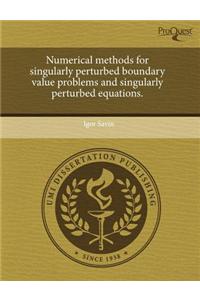 Numerical Methods for Singularly Perturbed Boundary Value Problems and Singularly Perturbed Equations.