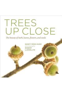 Trees Up Close: The Beauty of Their Bark, Leaves, Flowers, and Seeds