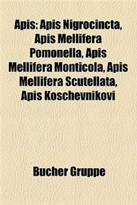 APIs: APIs Nigrocincta, APIs Mellifera Pomonella, APIs Mellifera Monticola, APIs Mellifera Scutellata, APIs Koschevnikovi