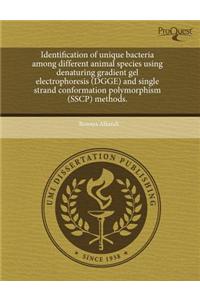 Identification of Unique Bacteria Among Different Animal Species Using Denaturing Gradient Gel Electrophoresis (Dgge) and Single Strand Conformation P