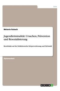 Jugendkriminalitat: Ursachen, Pravention Und Resozialisierung