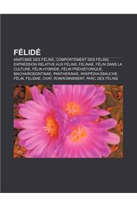 Felide: Anatomie Des Felins, Comportement Des Felins, Expression Relative Aux Felins, Felinae, Felin Dans La Culture, Felin Hy