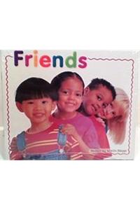 Steck-Vaughn Pair-It Books Foundation: Individual Student Edition Friends