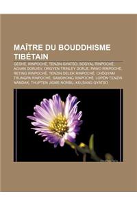 Maitre Du Bouddhisme Tibetain: Geshe, Rinpoche, Tenzin Gyatso, Sogyal Rinpoche, Agvan Dorjiev, Orgyen Trinley Dorje, Pawo Rinpoche