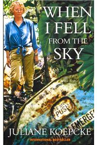 When I Fell from the Sky