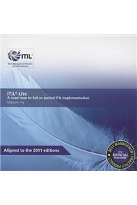 ITIL Lite: A Road Map to Full or Partial ITIL Implementation