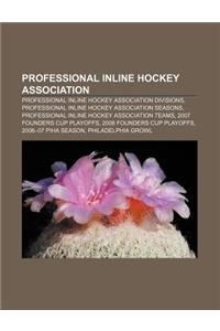 Professional Inline Hockey Association: Professional Inline Hockey Association Divisions, Professional Inline Hockey Association Seasons