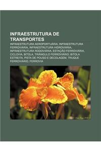 Infraestrutura de Transportes: Infraestrutura Aeroportuaria, Infraestrutura Ferroviaria, Infraestrutura Hidroviaria, Infraestrutura Rodoviaria