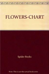 Pre-School Educational Chart - Flowers