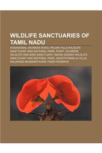Wildlife Sanctuaries of Tamil Nadu: Kodaikanal-Munnar Road, Palani Hills Wildlife Sanctuary and National Park
