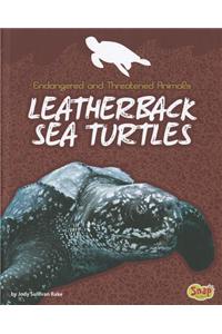 Leatherback Sea Turtles
