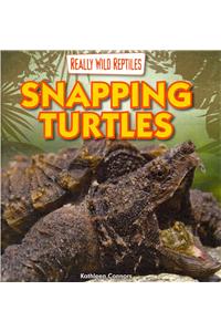 Snapping Turtles