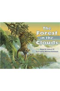 The Forest in the Clouds