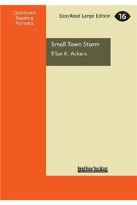Small Town Storm (Large Print 16pt)
