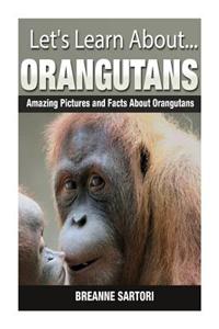 Orangutans: Amazing Pictures and Facts about Orangutans