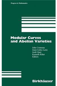 Modular Curves and Abelian Varieties