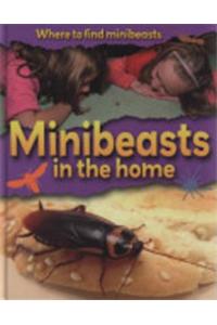 Minibeasts in the Home