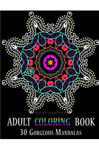Adult Coloring Book: 30 Gorgeous Mandalas