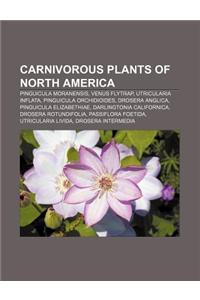 Carnivorous Plants of North America: Pinguicula Moranensis, Venus Flytrap, Utricularia Inflata, Pinguicula Orchidioides, Drosera Anglica