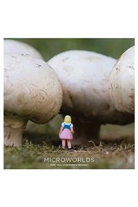 Microworlds