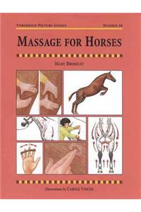 Massage for Horses