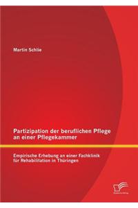Partizipation Der Beruflichen Pflege an Einer Pflegekammer
