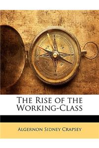 The Rise of the Working-Class