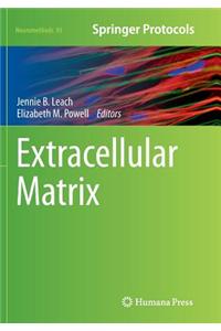 Extracellular Matrix