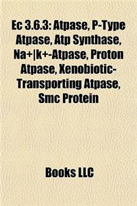 EC 3.6.3: Atpase, P-Type Atpase, Atp Synthase, Na+-K+-Atpase, Proton Atpase, Xenobiotic-Transporting Atpase, Smc Protein