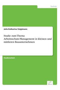 Studie Zum Thema Arbeitsschutz-Management in Kleinen Und Mittleren Bauunternehmen