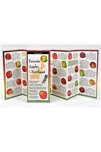 Favorite Apples of the Northeast