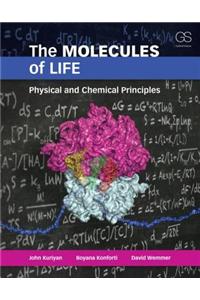 The Molecules of Life: Physical and Chemical Principles