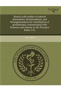 Bench-Scale Studies of Natural Attenuation, Biostimulation, and Bioaugmentation for Remediation of Groundwater Contaminated with Benzene and Toluene i