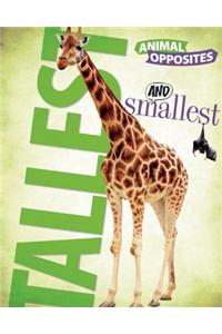 Biggest and Smallest