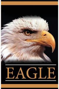 Eagle: Password Vault (an Internet Address and Password Journal)