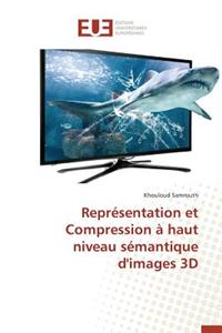 Representation Et Compression a Haut Niveau Semantique D'Images 3D = Repra(c)Sentation Et Compression a Haut Niveau Sa(c)Mantique D'Images 3D
