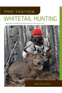 Pro Tactics: Whitetail Hunting