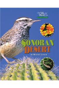 Sonoran Desert