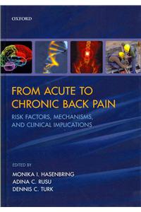 From Acute to Chronic Back Pain: Risk Factors, Mechanisms, and Clinical Implications