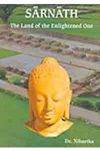 Human Rights: Development and Environmental Law