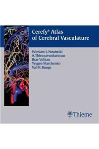 Cerefy Atlas of Cerebral Vasculature
