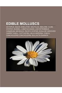 Edible Molluscs: Octopus, Squid, Shellfish, Nautilus, Abalone, Clam, Oyster, Mussel, Lobatus Gigas, Laevistrombus Canarium, Geoduck