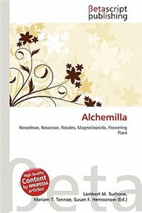 Alchemilla