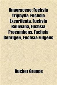 Onagraceae: Fuchsia Triphylla, Fuchsia Excorticata, Fuchsia Boliviana, Fuchsia Procumbens, Fuchsia Gehrigeri, Fuchsia Fulgens
